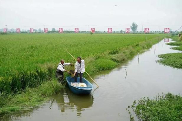 潛江有名清江野魚(yú)在哪